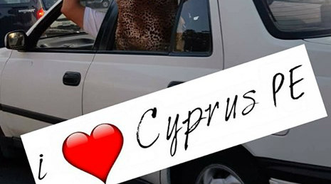 Μόνο στην Κύπρο – Έβαλε τη γυναίκα να κρατάει το ψυγείο πάνω από το αυτοκίνητο 